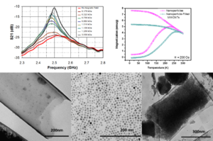 BCMaterials Fortnightly Seminars #28