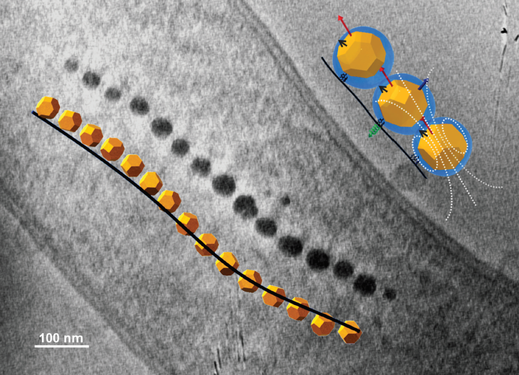 BCMaterials article back cover on Nanoscale BCMaterials article back cover on Nanoscale