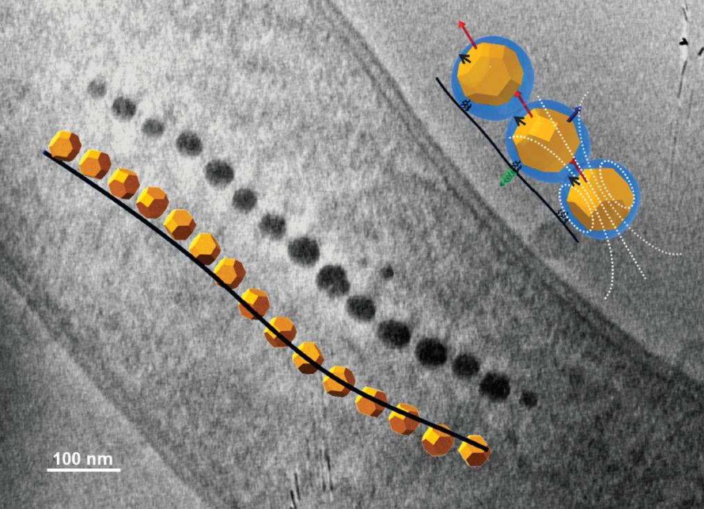 BCMaterials article back cover on Nanoscale