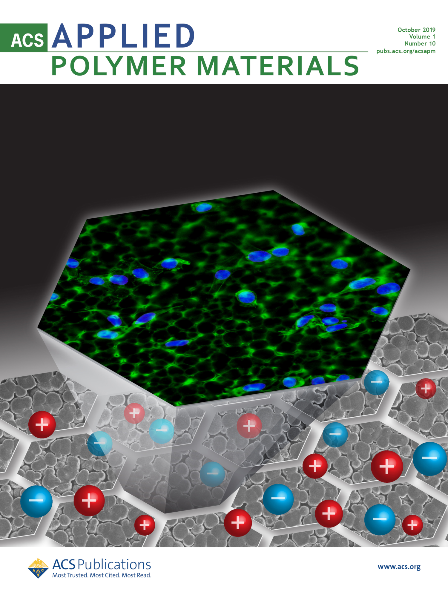 New cover on ACS Applied Polymer Materials