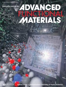 Special issue in Advanced Functional Material