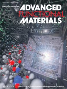 Special issue in Advanced Functional Material Special issue in Advanced Functional Material