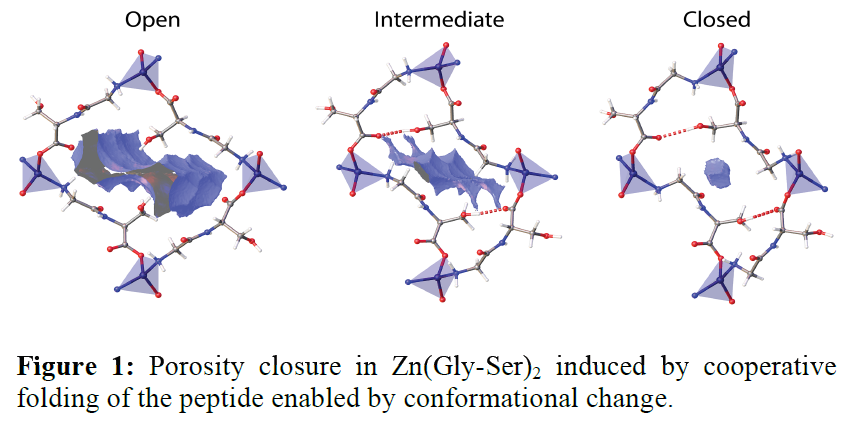 BCMaterials invited talk: Carlos Martí-Gastaldo