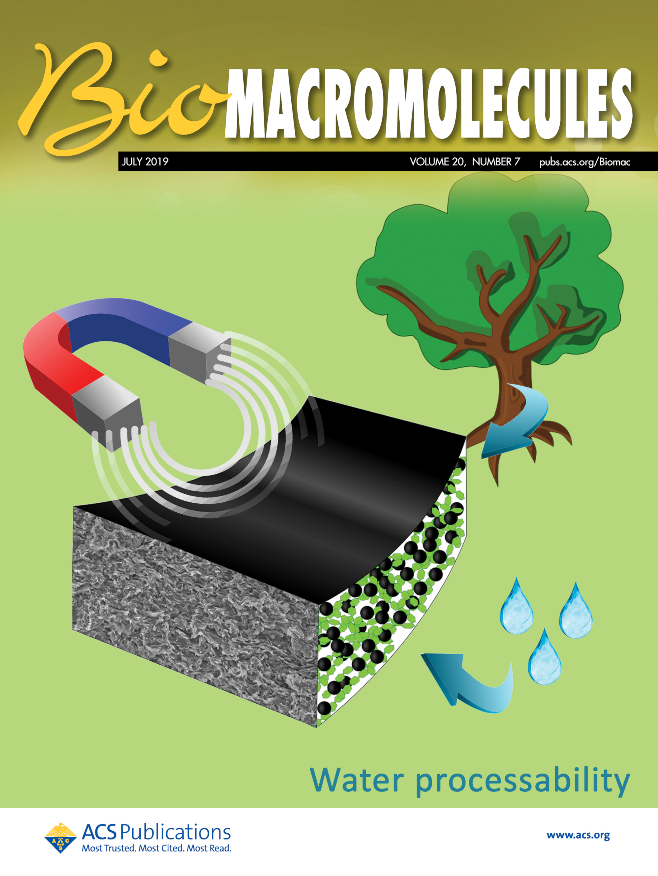 New cover on Biomacromolecules New cover on Biomacromolecules