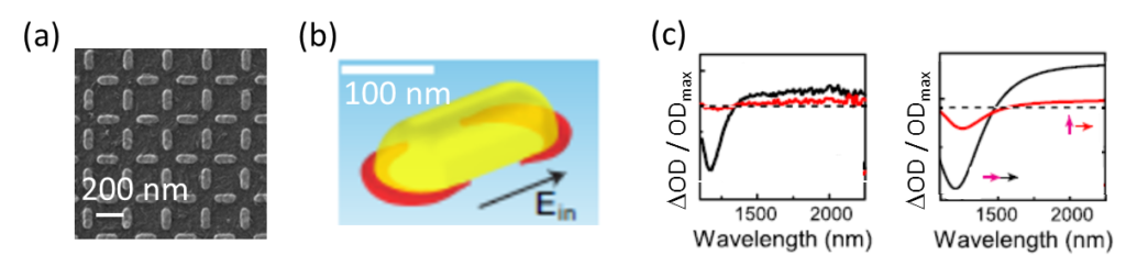 BCMaterials Fortnightly Seminars #44