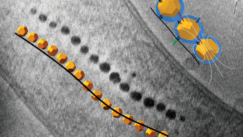 BCMaterials article back cover on Nanoscale