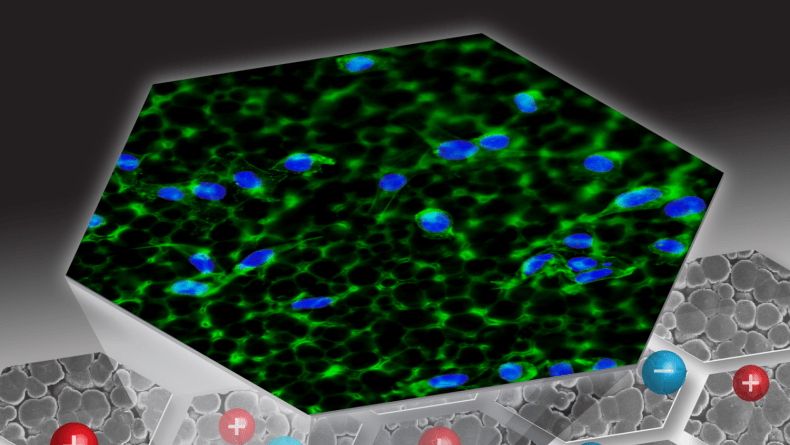 New cover on ACS Applied Polymer Materials