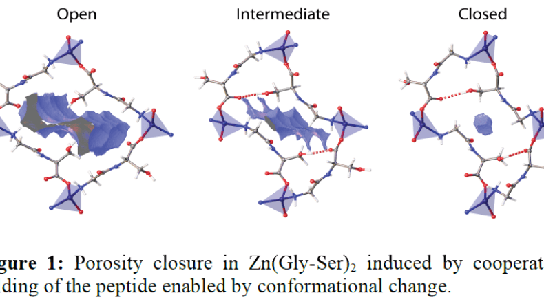 BCMaterials invited talk: Carlos Martí-Gastaldo