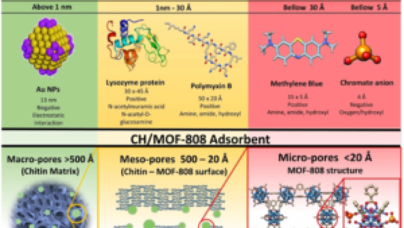 New publication on Wiley